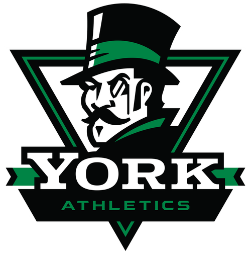 York Community High School Athletics logo